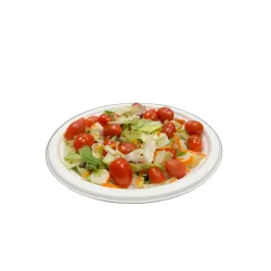 ASSIETTE BIODEGRADABLE CANNE A SUCRE