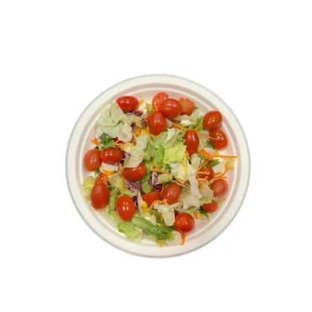 ASSIETTE BIODEGRADABLE CANNE A SUCRE ASSIETTE BIODEGRADABLE CANNE A SUCRE