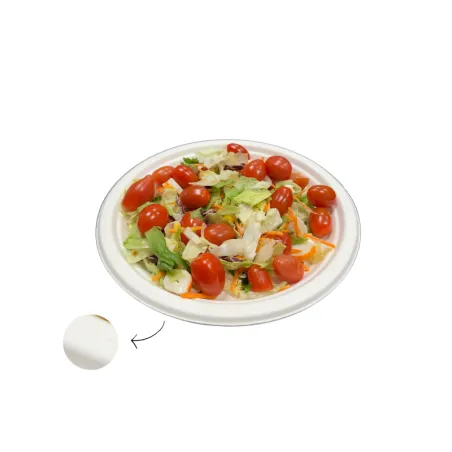 ASSIETTE BIODEGRADABLE CANNE A SUCRE ASSIETTE BIODEGRADABLE CANNE A SUCRE