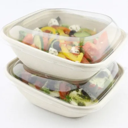 SALADIERS CARRES BISEAUTES BE PULP NATUREL & COUVERCLES SALADIERS CARRES BISEAUTES BE PULP NATUREL & COUVERCLES
