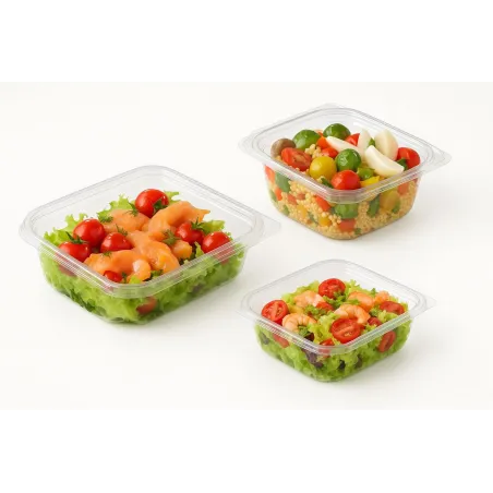 Barquette plastique salades Optipack, pour Boulangeries et Snacks Barquette plastique salades Optipack, pour Boulangeries et Snacks