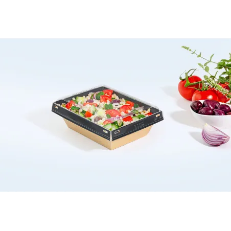 BOITE SALADE LUXIFOOD ETANCHE RECYCLBLABLE ET MICRO ONDABLE