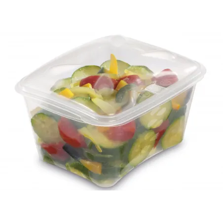 Barquette plastique prestipack 900 cc