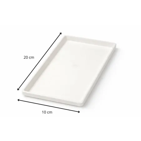 assiette cake canne à sucre 20 X 10 cm