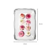 Plateau aristocrat réutilisable plastique Argent