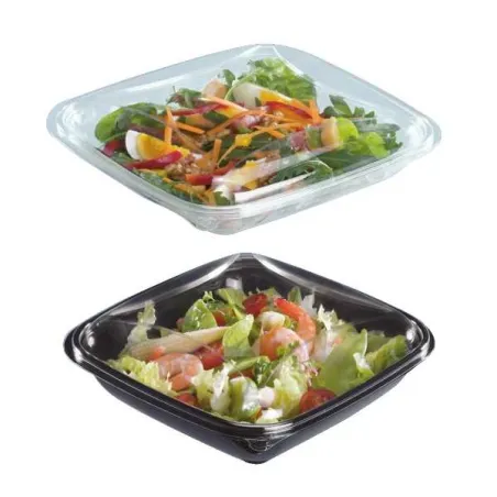 BOITES SALADE PLASTIQUE CARRE CRUDIPACK