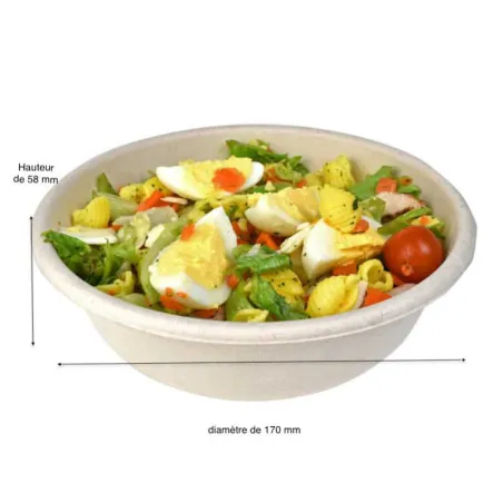 BOLS SALADE "GOOD PULP" - 2 BOLS SALADE "GOOD PULP" - 2
