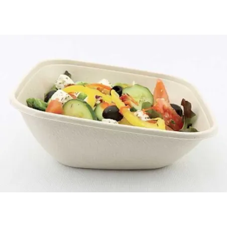 SALADIERS CARRES BISEAUTES BE PULP NATUREL & COUVERCLES SALADIERS CARRES BISEAUTES BE PULP NATUREL & COUVERCLES