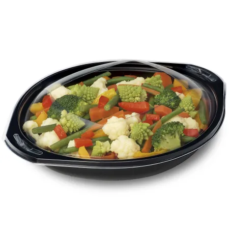 RECIPIENT PLASTIQUE FORMAT WOK - 11 RECIPIENT PLASTIQUE FORMAT WOK - 11