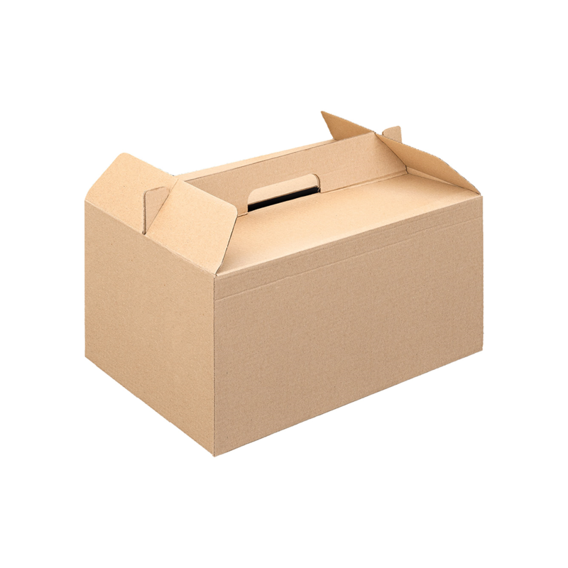 LUNCH BOX CARTON  - 1