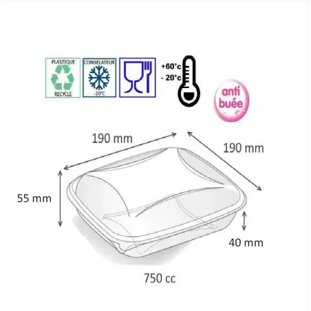 BOITES SALADE PLASTIQUE CARRE CRUDIPACK