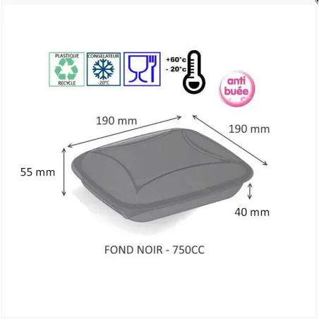 BOITES SALADE PLASTIQUE CARRE CRUDIPACK