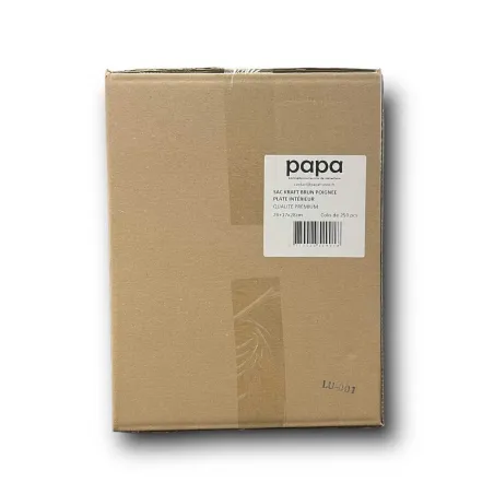 SACS CABAS PAPIER KRAFT POIGNEES PLATES SACS CABAS PAPIER KRAFT POIGNEES PLATES