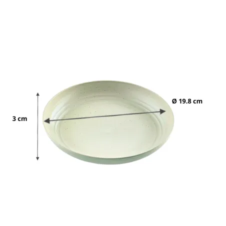 Assiette en composant végétal, l'alternative 100 % écologique Assiette en composant végétal, l'alternative 100 % écologique