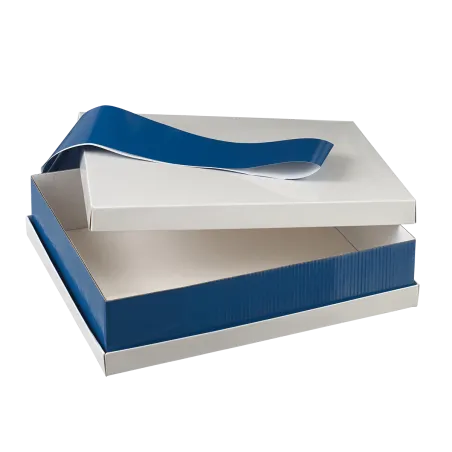 Plateau repas pratique et économique, plateau reverso bandeau bleu