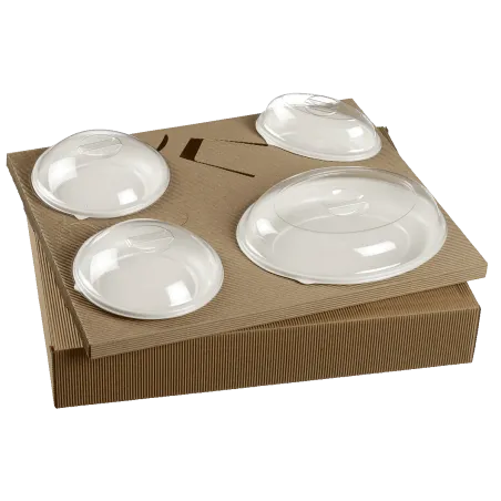 Kit plateau repas vaisselles + couvercle