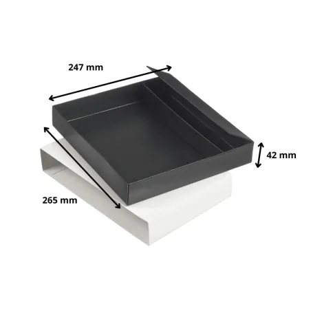 Plateau idéal pour snacking et petite restauration Plateau idéal pour snacking et petite restauration