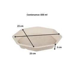 Assiette octogonale pour restauration rapide