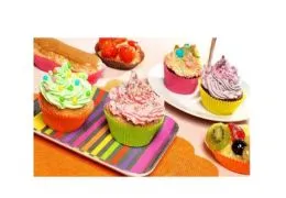 caissette plissee couleur nordia