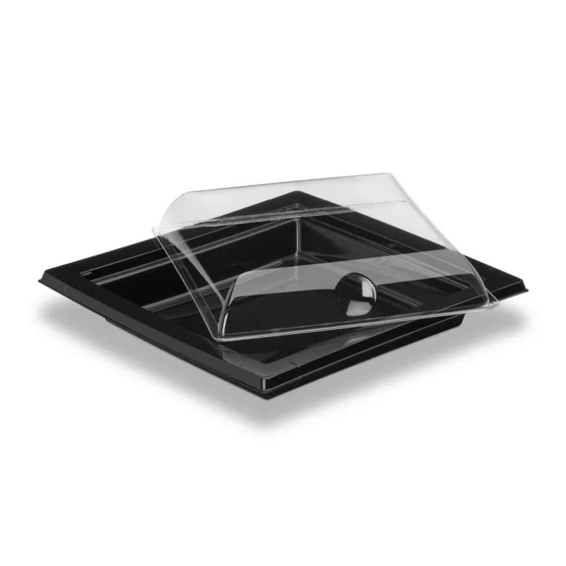 Quadripack Alphaform ravier