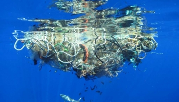 Les déchets marins pour imaginer les emballages alimentaires écologiques 
